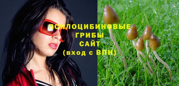 стафф Аркадак