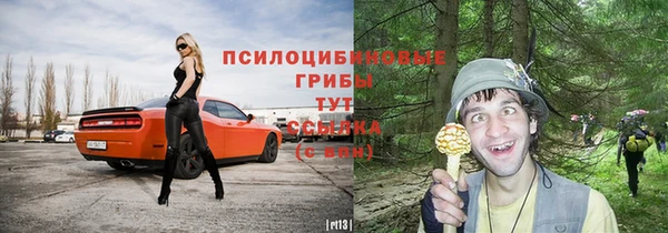каннабис Арсеньев