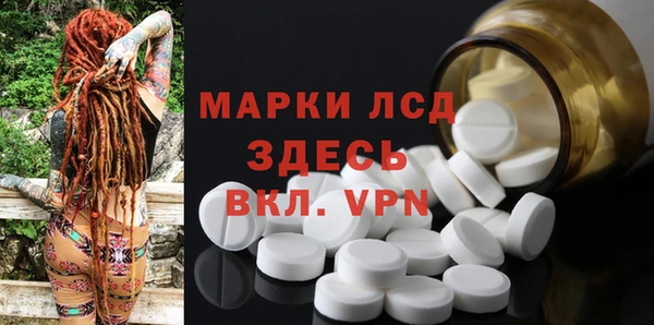 стафф Аркадак