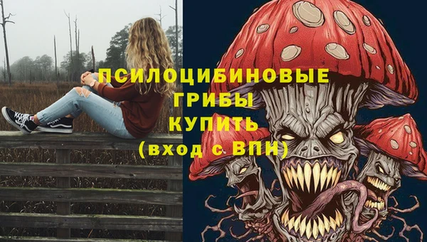 стафф Аркадак