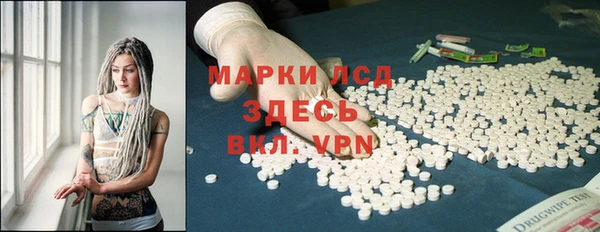 стафф Аркадак